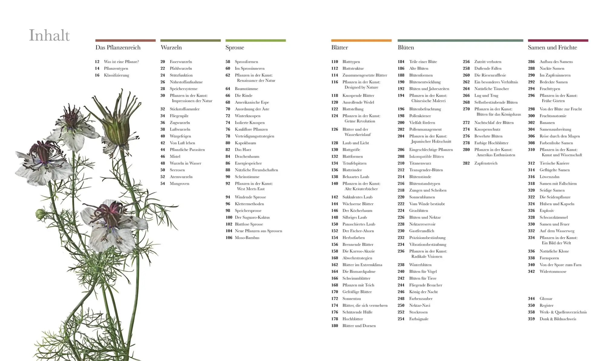 Bild: 9783831037834 | Flora - Wunderwelt der Pflanzen | DK Verlag | Buch | DK Wunderwelten
