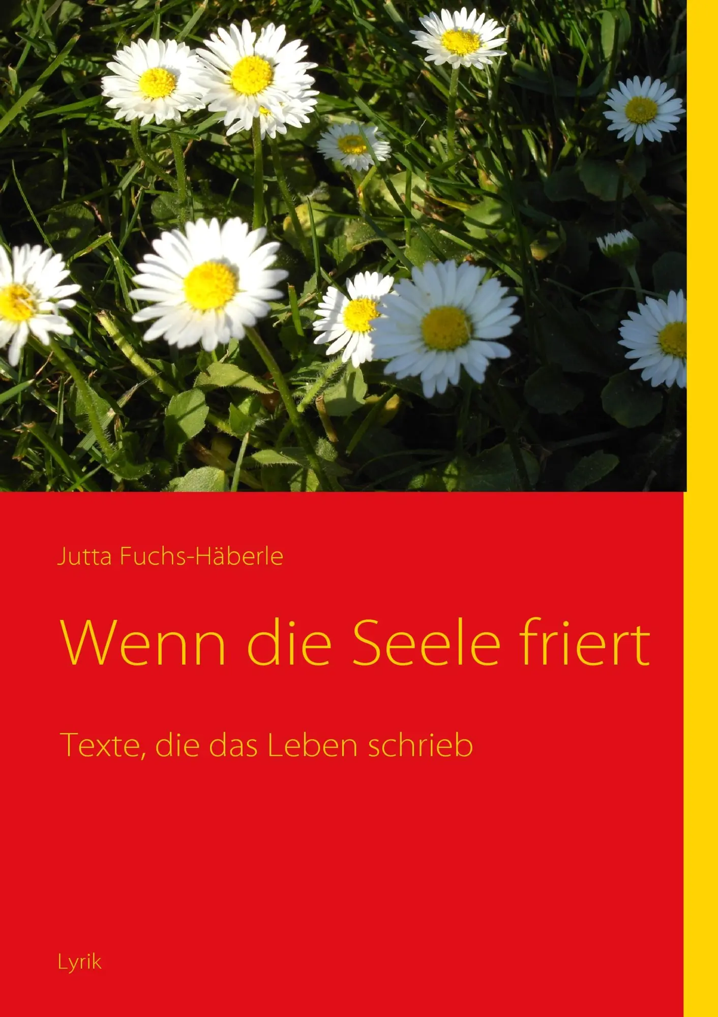 Cover: 9783833497834 | Wenn die Seele friert | Texte, die das Leben schrieb | Fuchs-Häberle