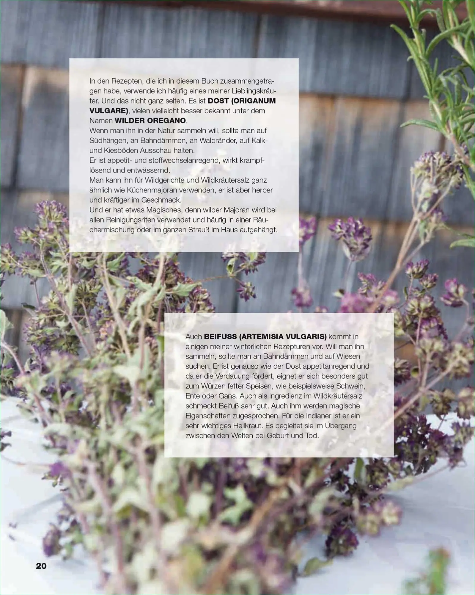 Bild: 9783868527834 | Wintergrillen | Tom Heinzle | Buch | 160 S. | Deutsch | 2013