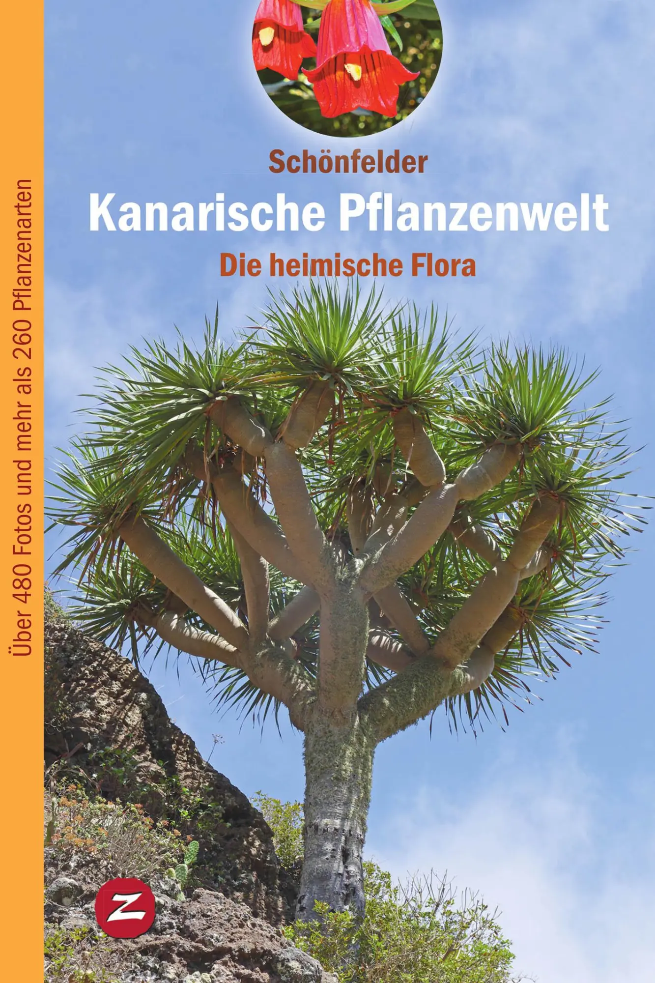 Cover: 9788494257834 | Kanarische pflanzenwelt : die heimische flora | Schönfelder (u. a.)