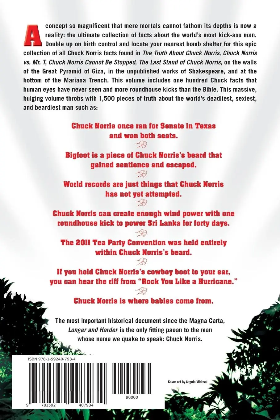 Rückseite: 9781592407934 | Chuck Norris | Ian Spector | Taschenbuch | Englisch | 2012