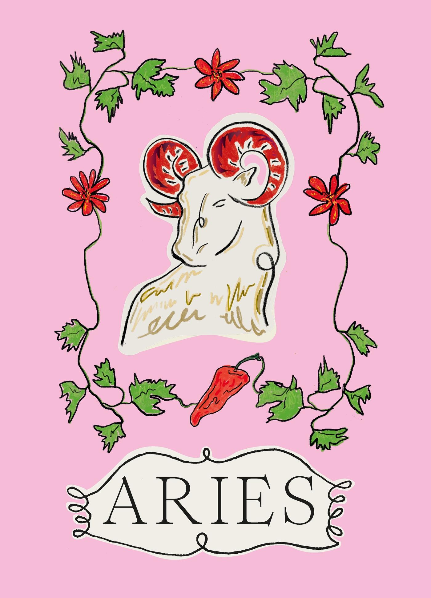 Cover: 9781914317934 | Aries | Liberty Phi | Buch | Gebunden | Englisch | 2023