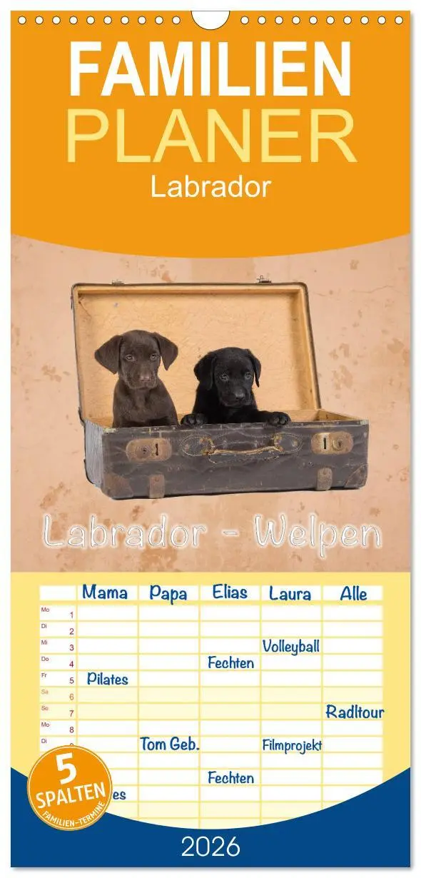 Cover: 9783516517934 | Familienplaner 2026 - Labrador - Welpen mit 5 Spalten...