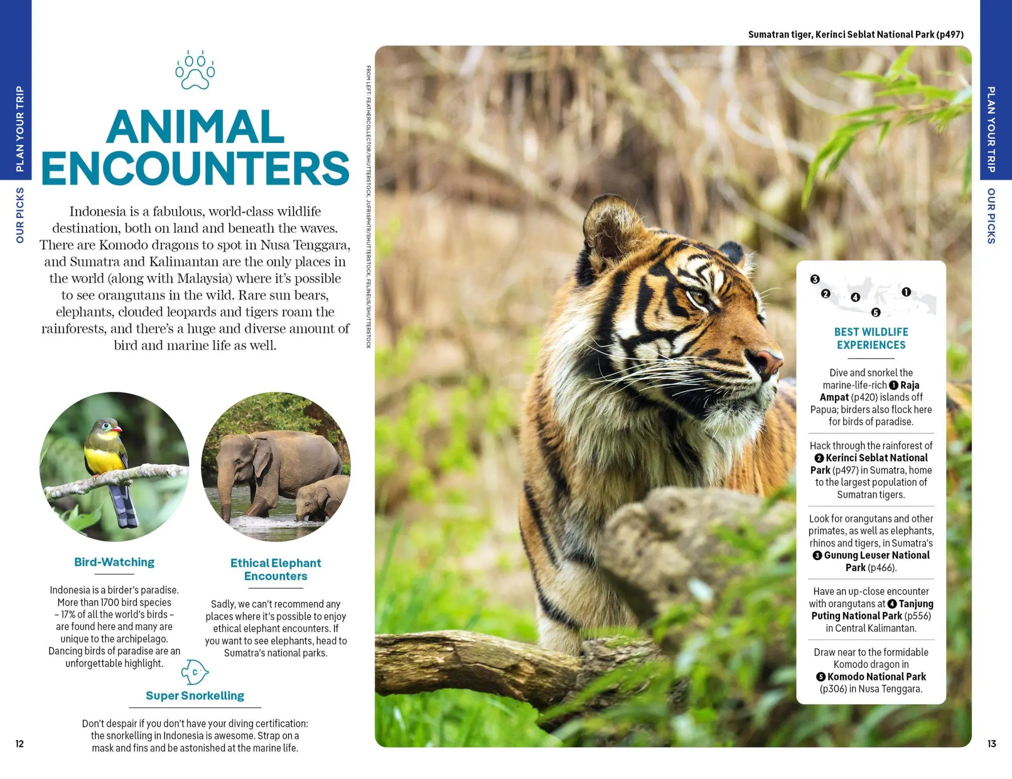 Bild: 9781838698034 | Lonely Planet Indonesia | Anthony Ham (u. a.) | Taschenbuch | 688 S.