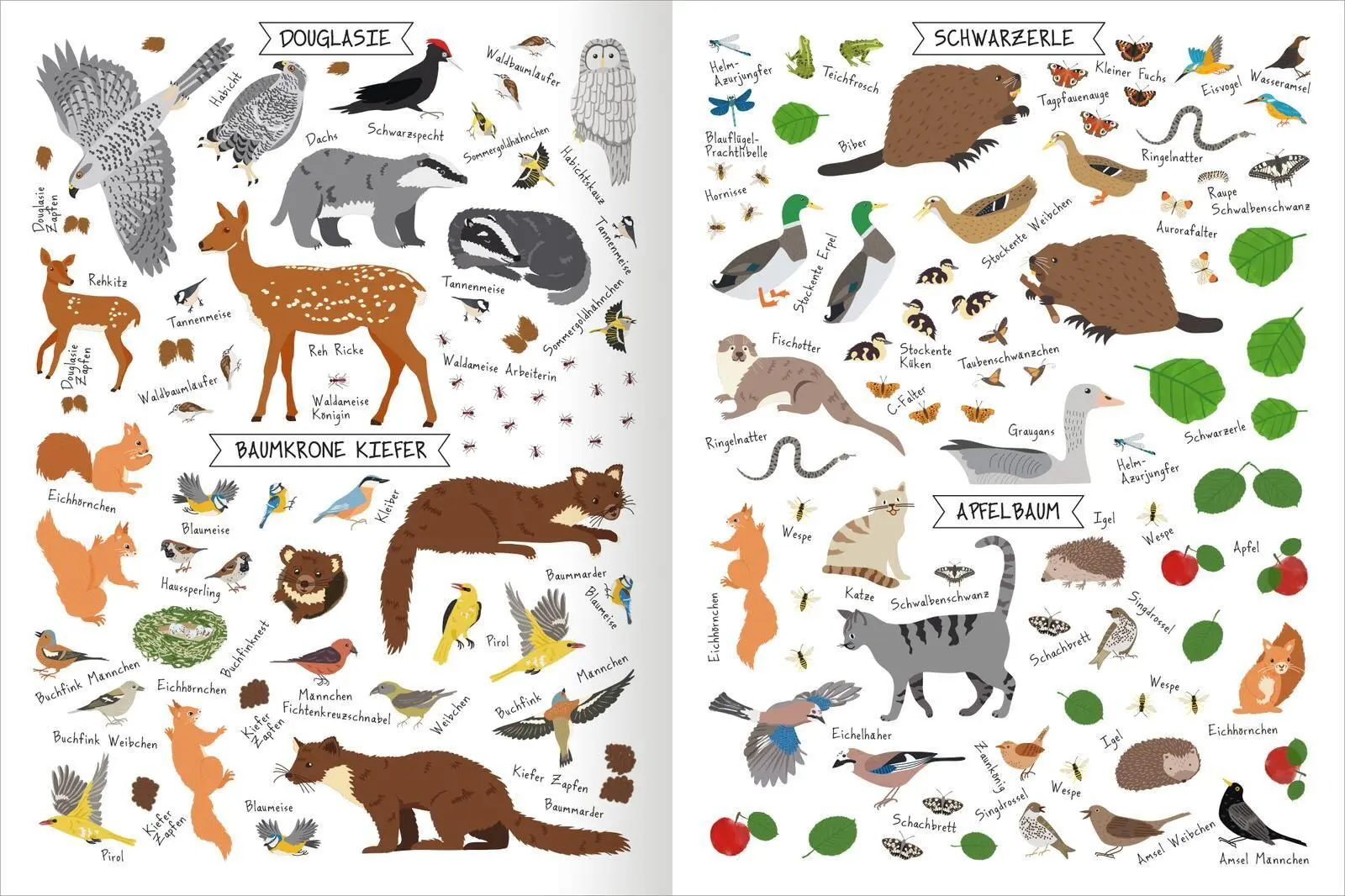 Bild: 9783845868134 | Naturforscher-Kids - Stickerheft Bäume | Über 300 Sticker | Markiewicz