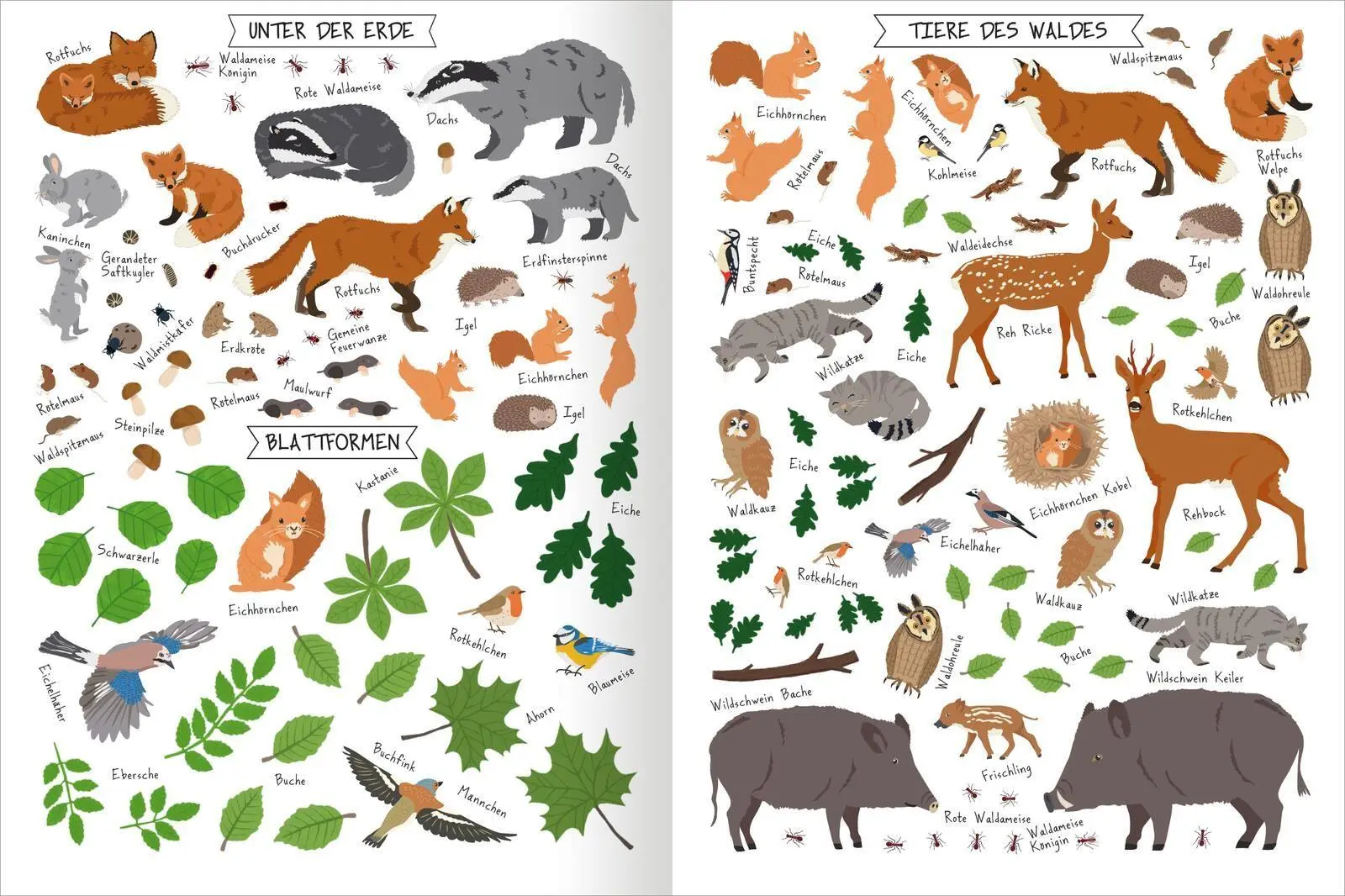 Bild: 9783845868134 | Naturforscher-Kids - Stickerheft Bäume | Über 300 Sticker | Markiewicz