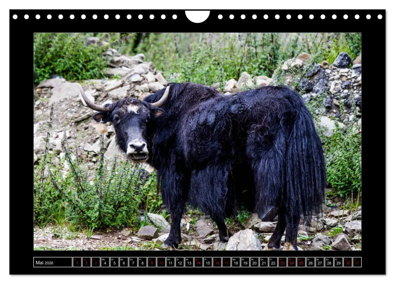 Bild: 9783457848234 | Eine Rundreise durch Tibet (Wandkalender 2026 DIN A4 quer),...