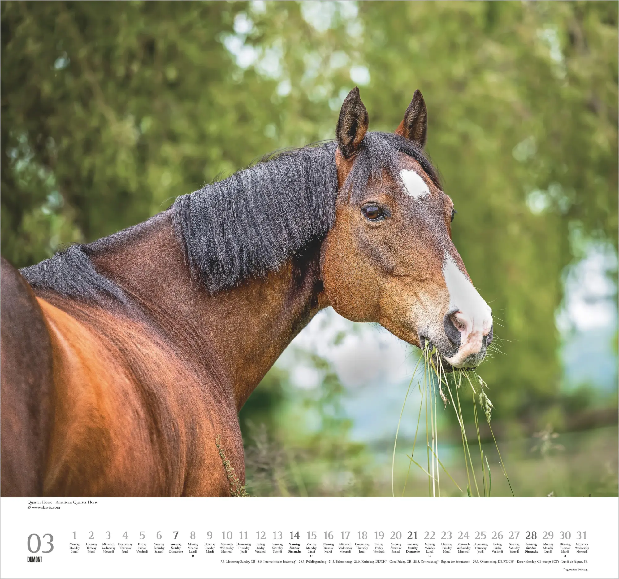 Bild: 4069095018334 | Geliebte Pferde 2027 | Neumann Verlage GmbH &amp; Co KG | Kalender | 14 S.