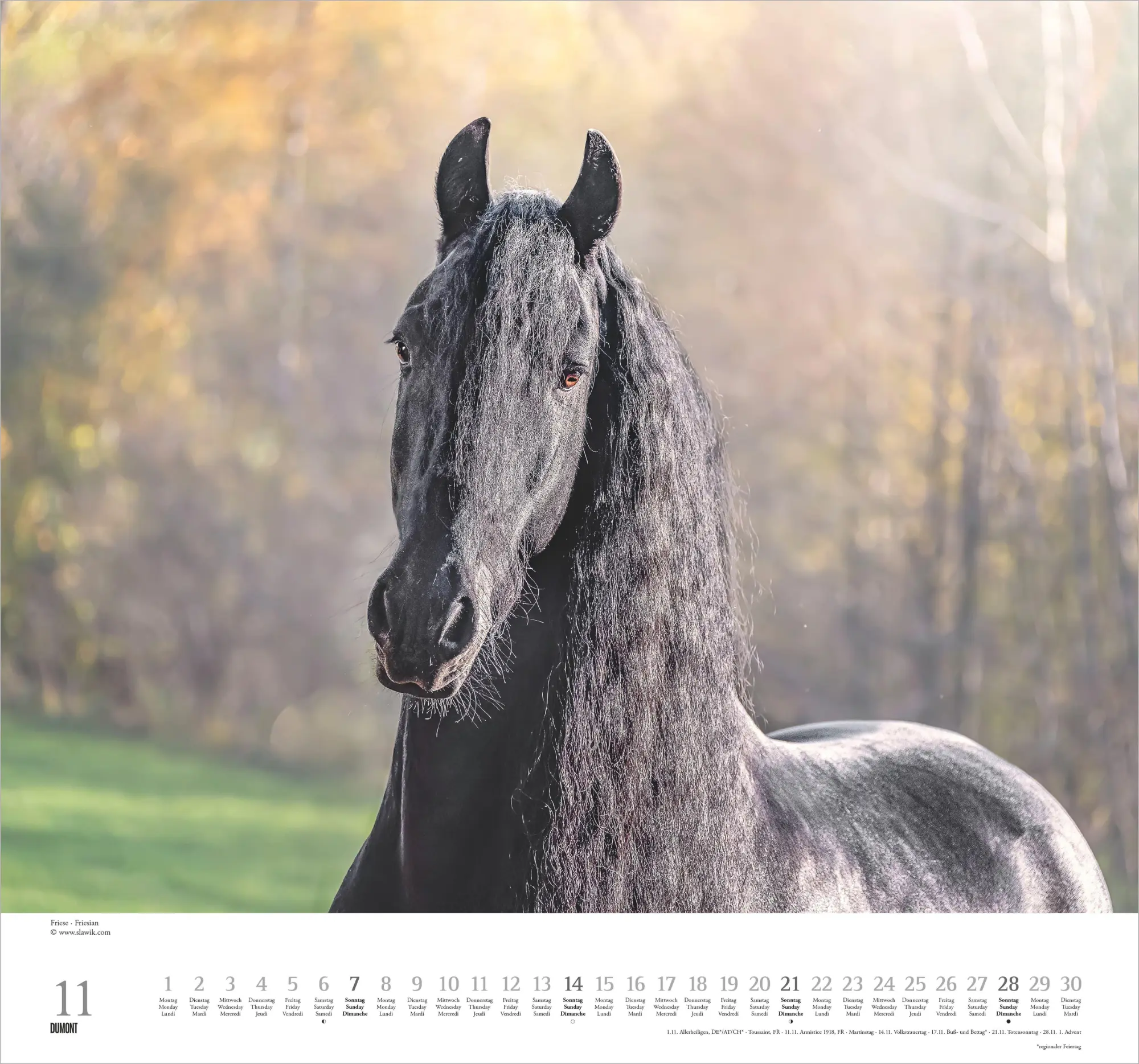 Bild: 4069095018334 | Geliebte Pferde 2027 | Neumann Verlage GmbH &amp; Co KG | Kalender | 14 S.