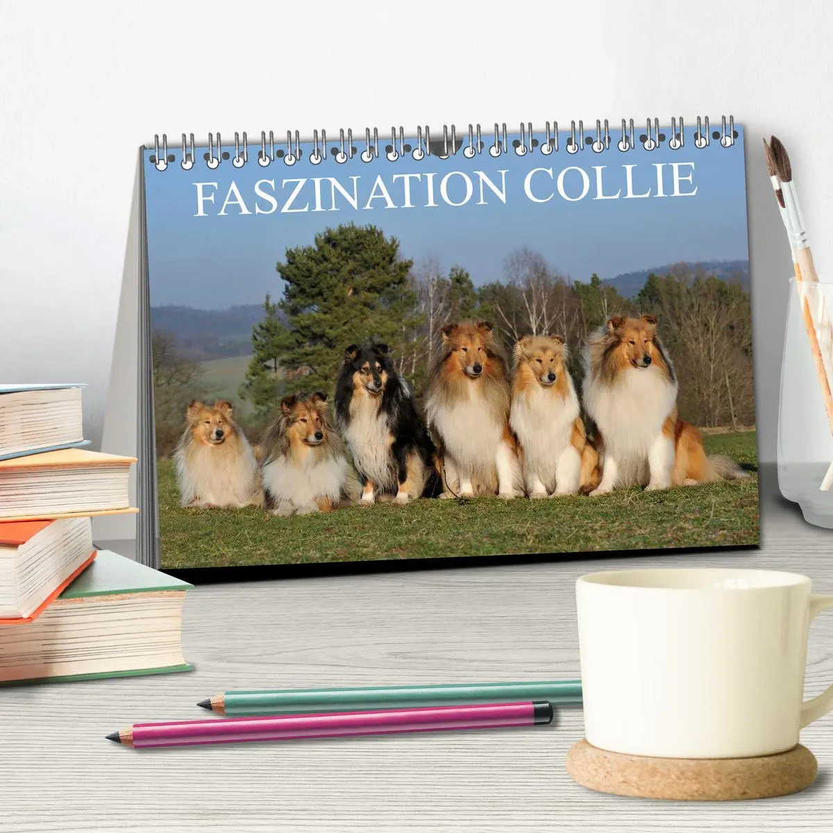 Bild: 9783516168334 | Faszination Collie 2026 (Tischkalender 2026 DIN A5 quer), CALVENDO...