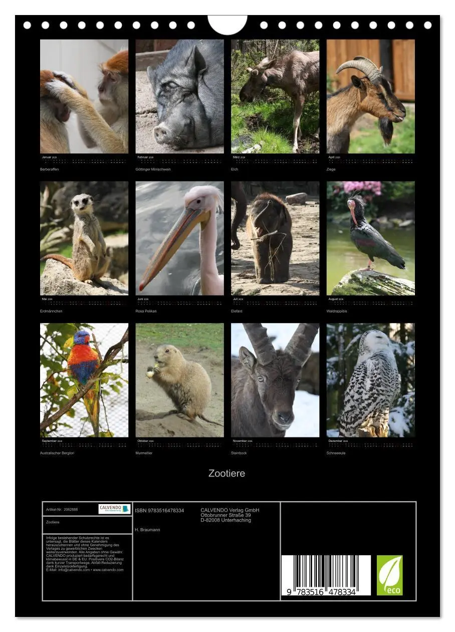 Bild: 9783516478334 | Zootiere (Wandkalender 2026 DIN A4 hoch), CALVENDO Monatskalender
