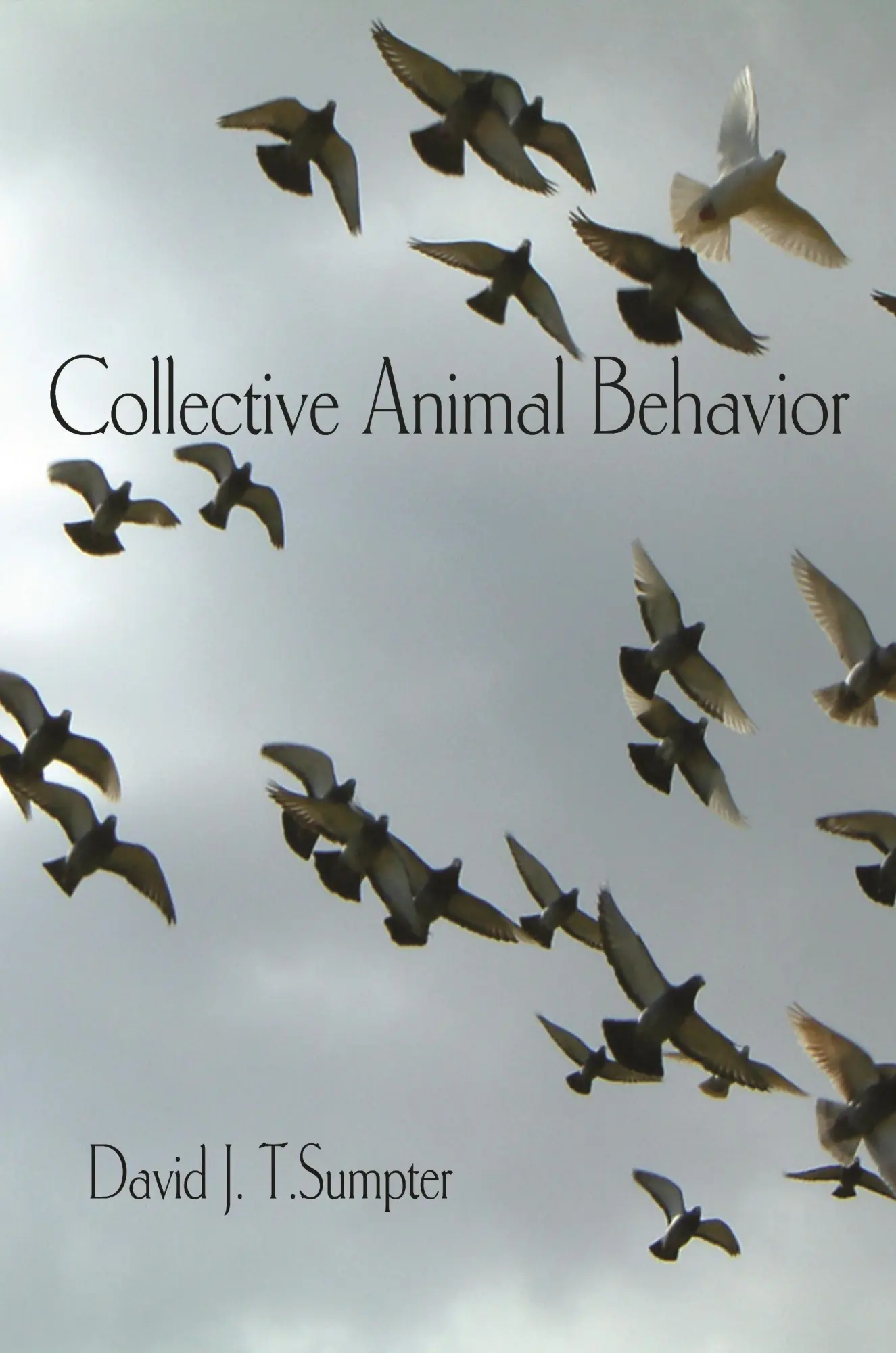 Cover: 9780691148434 | Collective Animal Behavior | David J T Sumpter | Taschenbuch | 2010