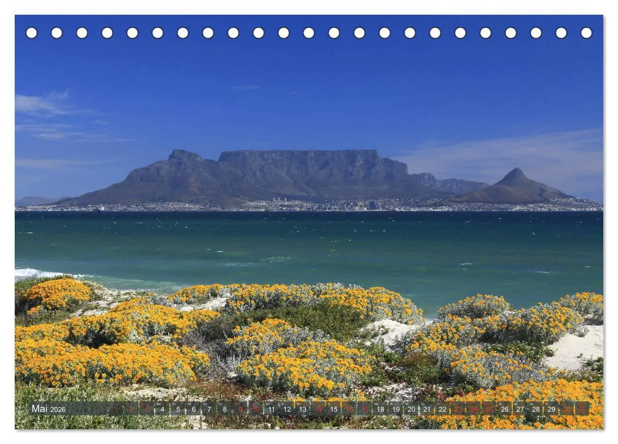 Bild: 9783516088434 | Südafrika - Westkap (Tischkalender 2026 DIN A5 quer), CALVENDO...