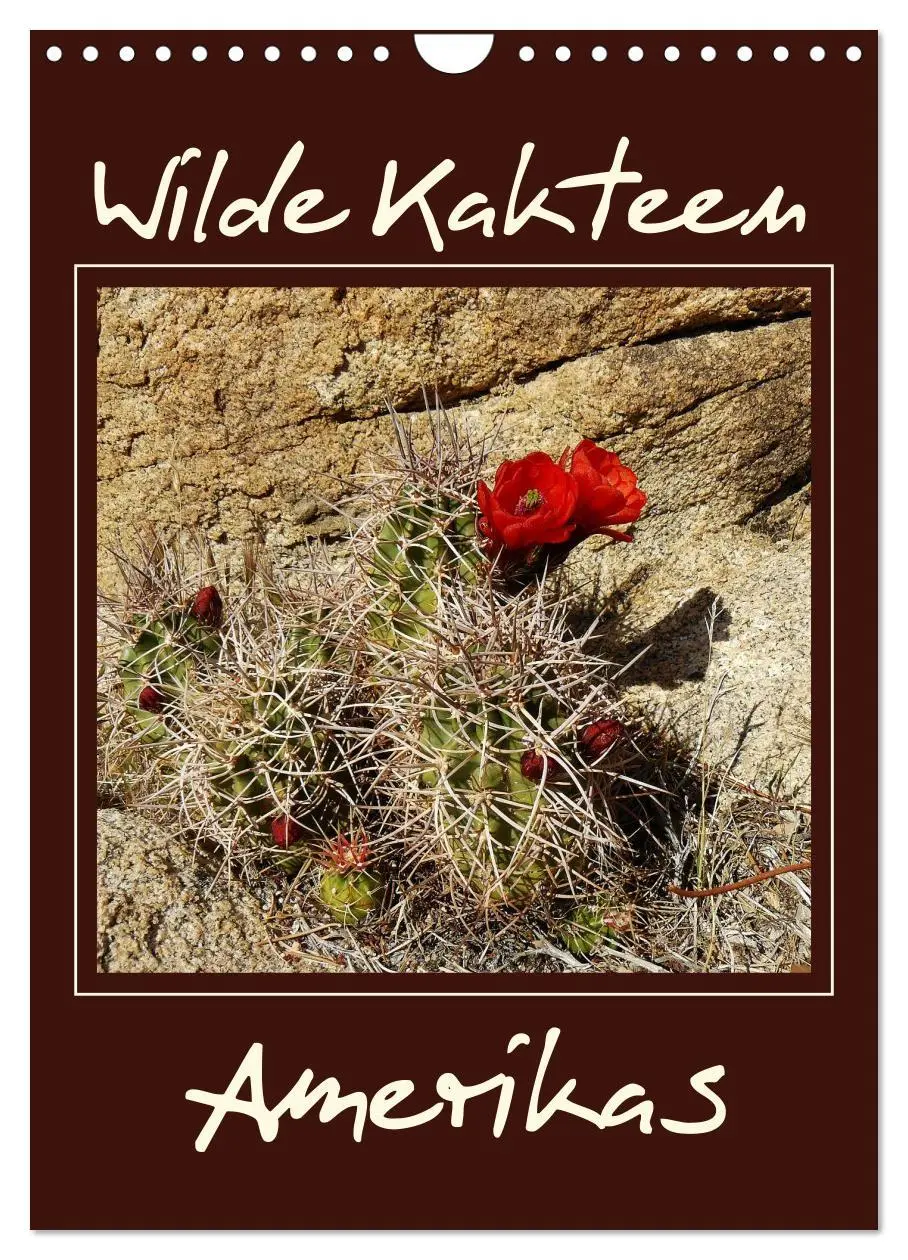 Cover: 9783516468434 | Wilde Kakteen Amerikas (Wandkalender 2026 DIN A4 hoch), CALVENDO...
