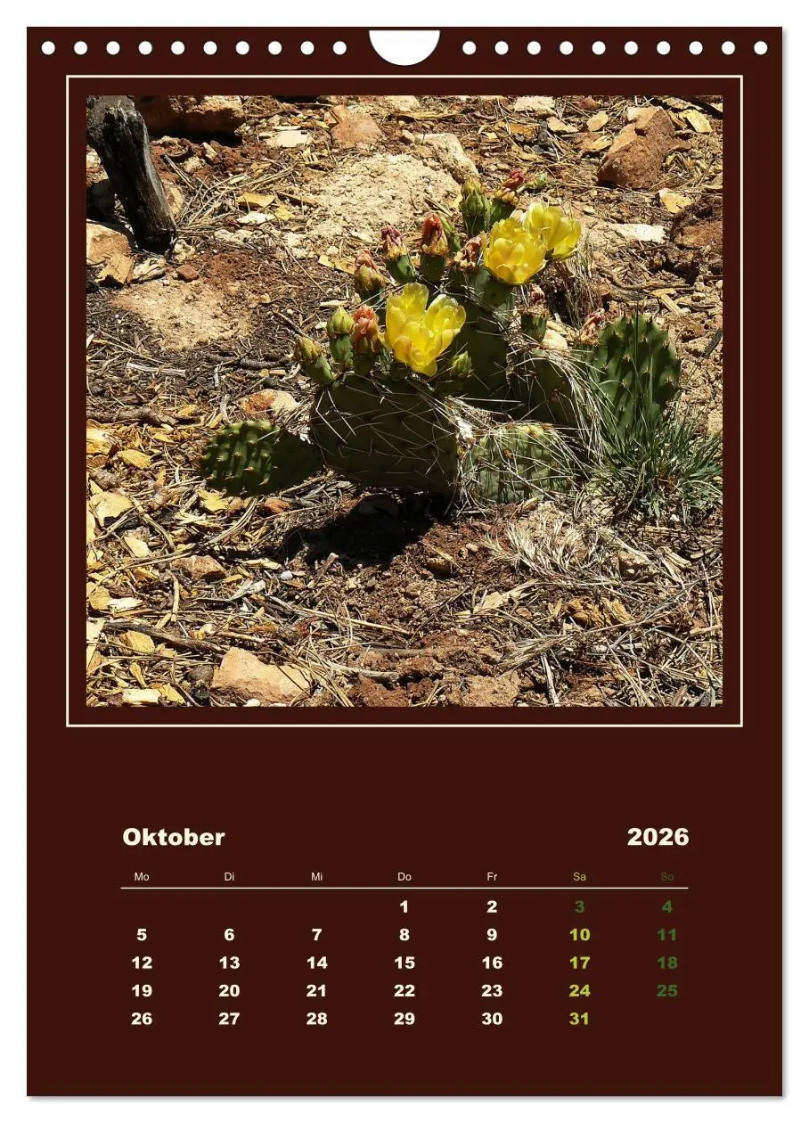 Bild: 9783516468434 | Wilde Kakteen Amerikas (Wandkalender 2026 DIN A4 hoch), CALVENDO...
