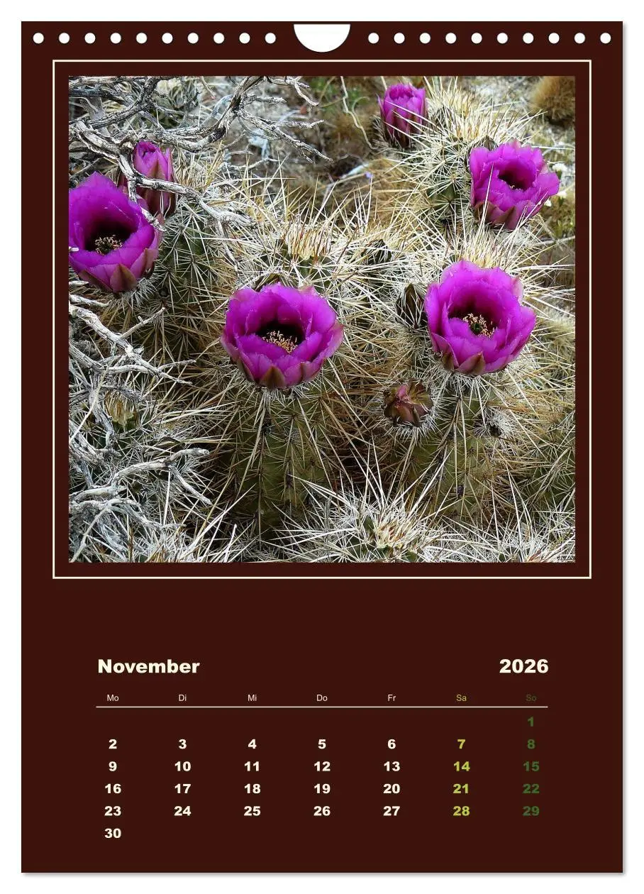 Bild: 9783516468434 | Wilde Kakteen Amerikas (Wandkalender 2026 DIN A4 hoch), CALVENDO...