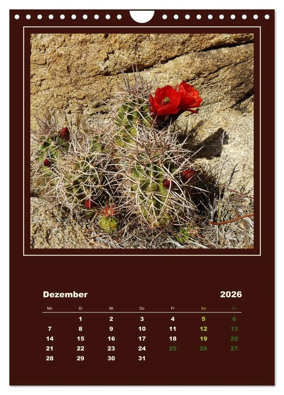 Bild: 9783516468434 | Wilde Kakteen Amerikas (Wandkalender 2026 DIN A4 hoch), CALVENDO...