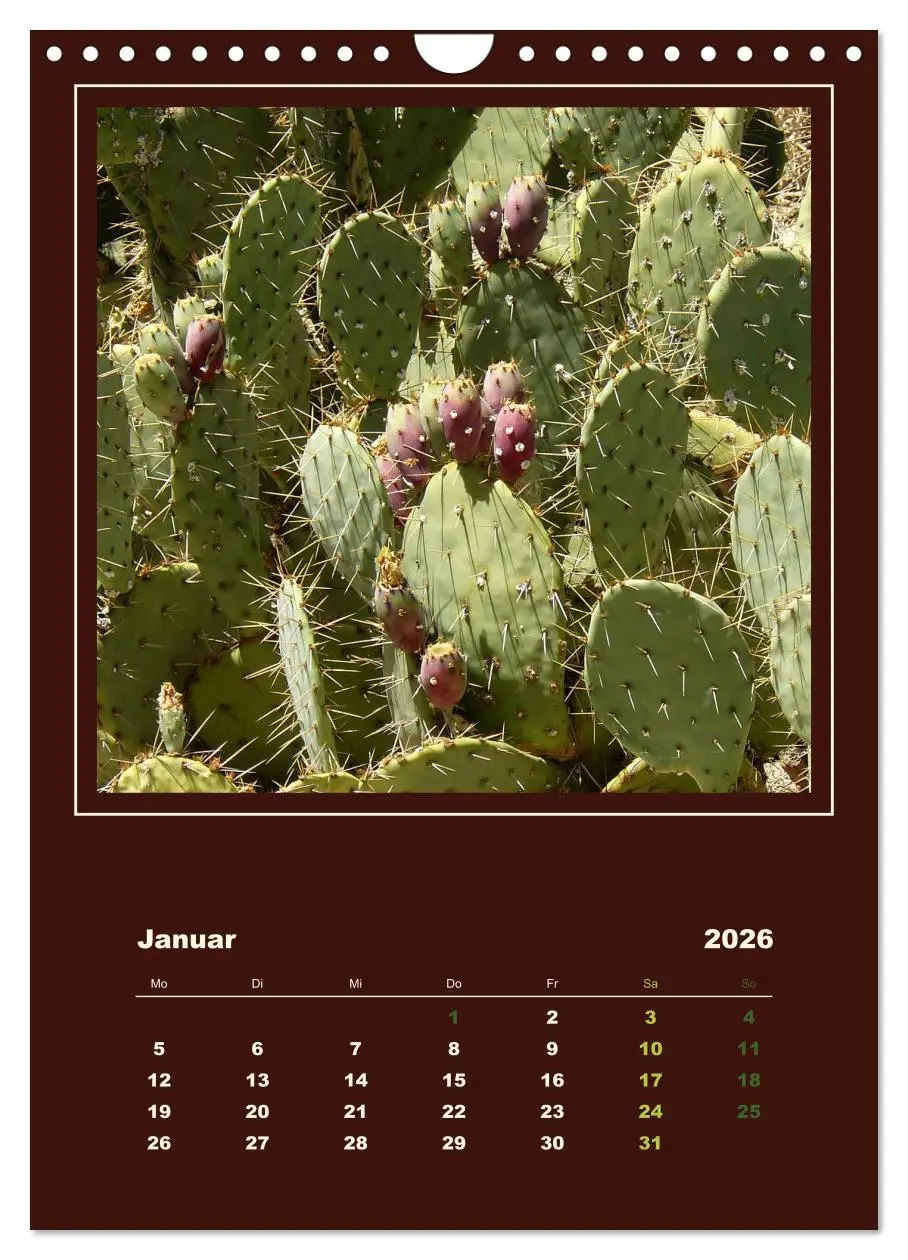 Bild: 9783516468434 | Wilde Kakteen Amerikas (Wandkalender 2026 DIN A4 hoch), CALVENDO...