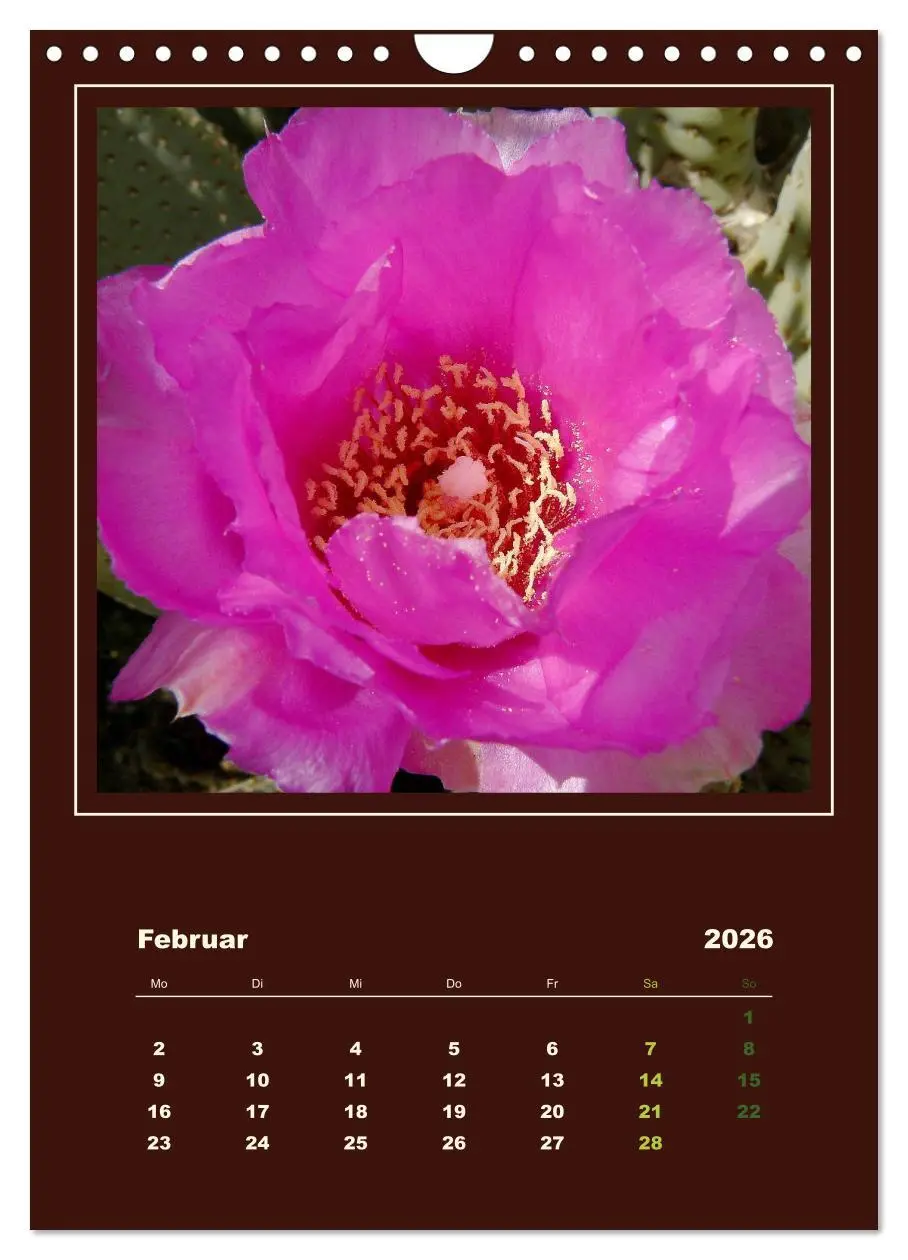 Bild: 9783516468434 | Wilde Kakteen Amerikas (Wandkalender 2026 DIN A4 hoch), CALVENDO...
