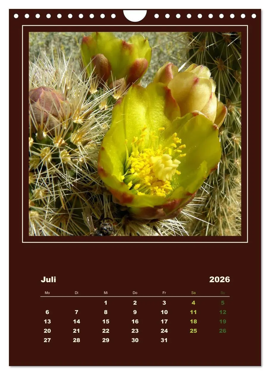 Bild: 9783516468434 | Wilde Kakteen Amerikas (Wandkalender 2026 DIN A4 hoch), CALVENDO...
