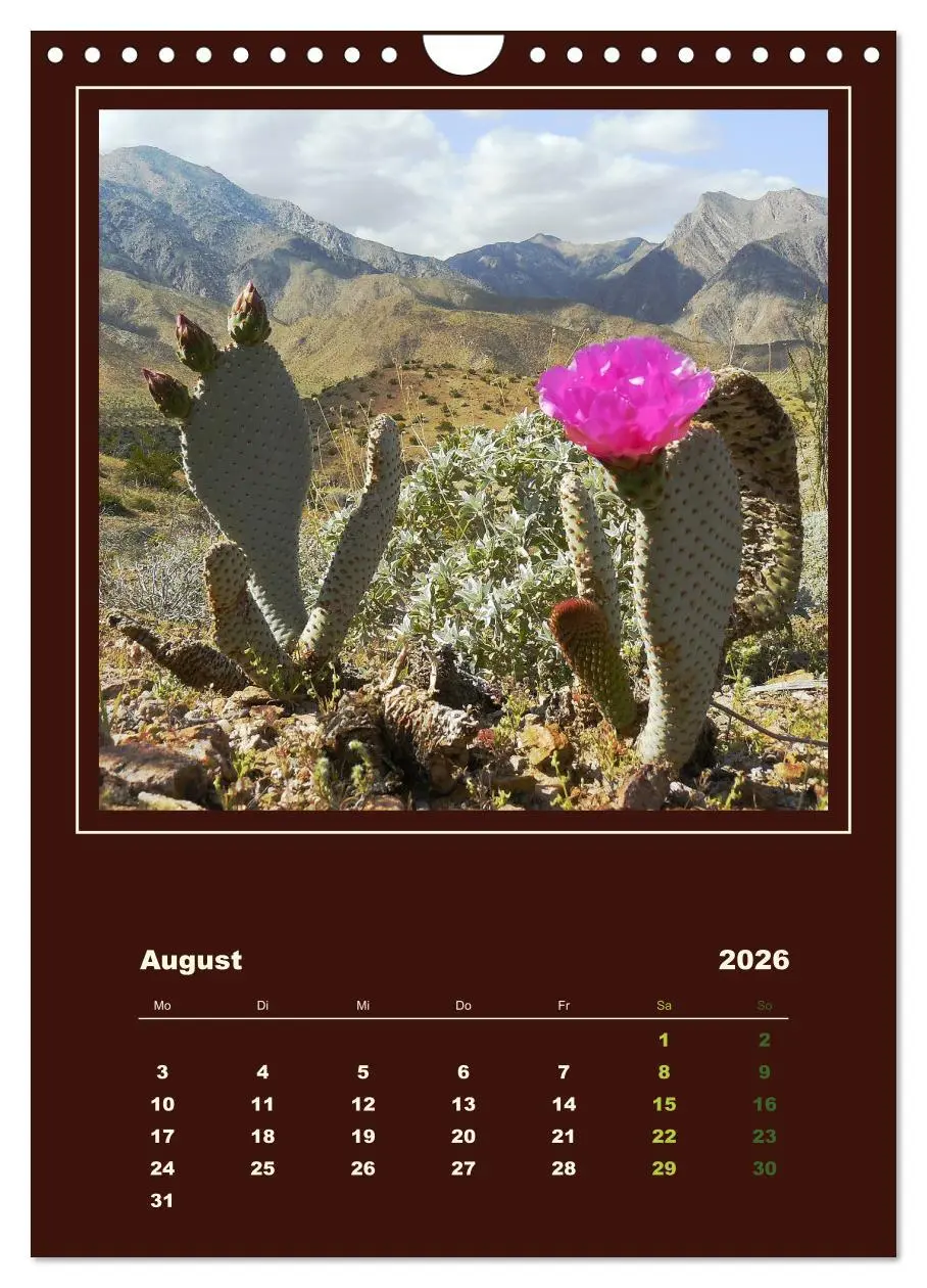 Bild: 9783516468434 | Wilde Kakteen Amerikas (Wandkalender 2026 DIN A4 hoch), CALVENDO...