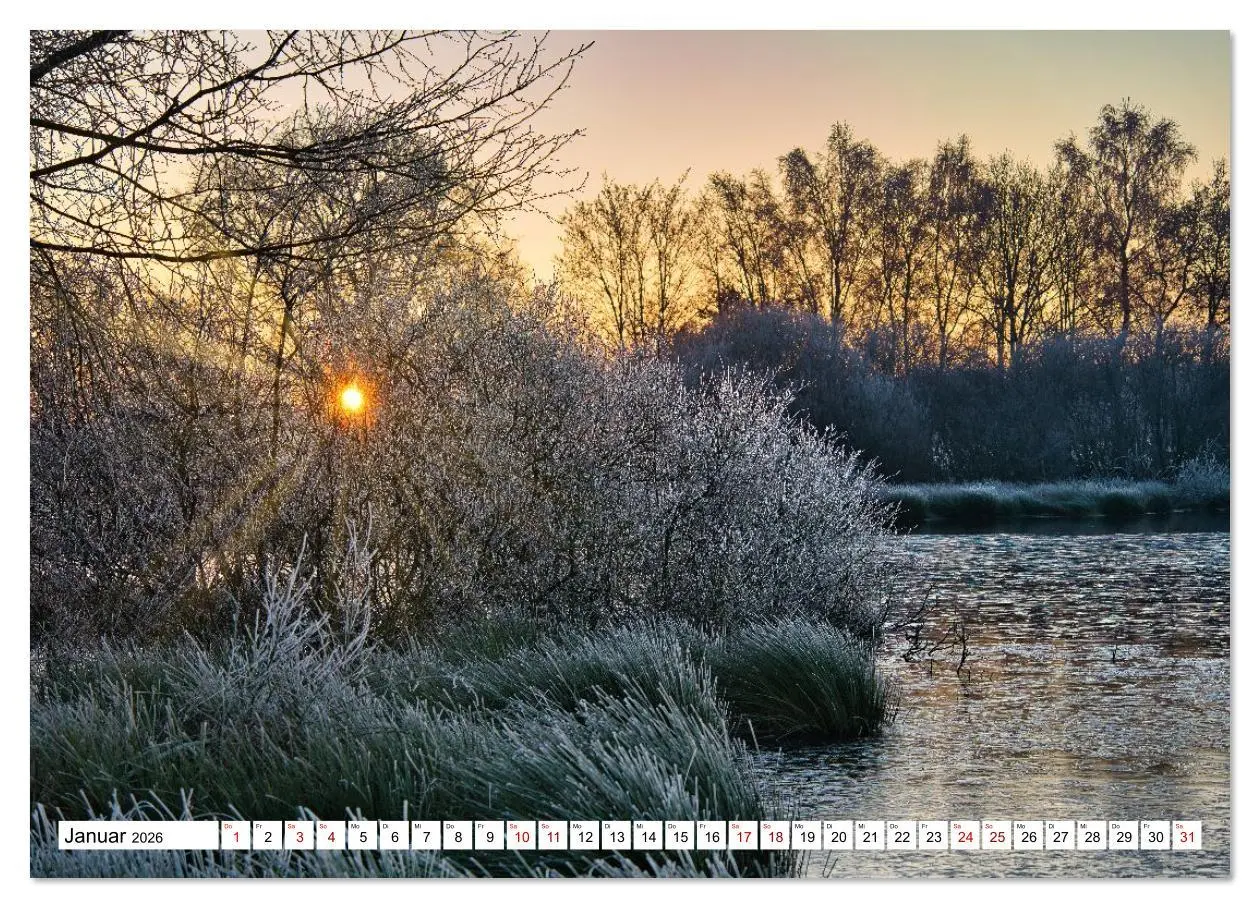 Bild: 9783516608434 | Impressionen aus dem Moor (hochwertiger Premium Wandkalender 2026...