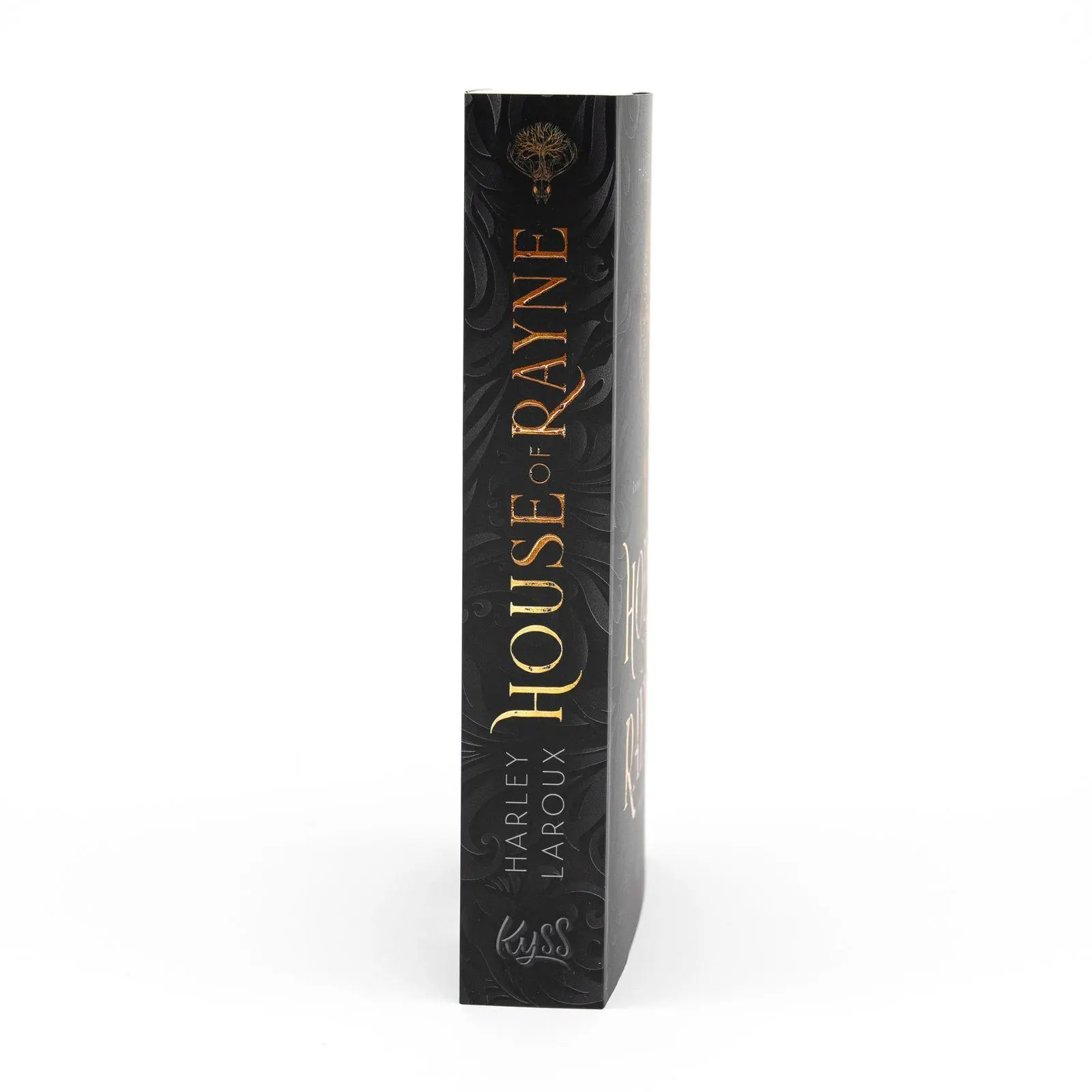 Bild: 9783499018534 | House of Rayne | Etwas in ihr erwacht. | Harley Laroux | Taschenbuch