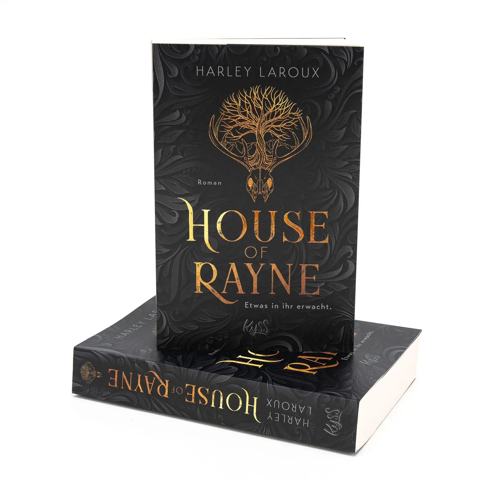 Bild: 9783499018534 | House of Rayne | Etwas in ihr erwacht. | Harley Laroux | Taschenbuch