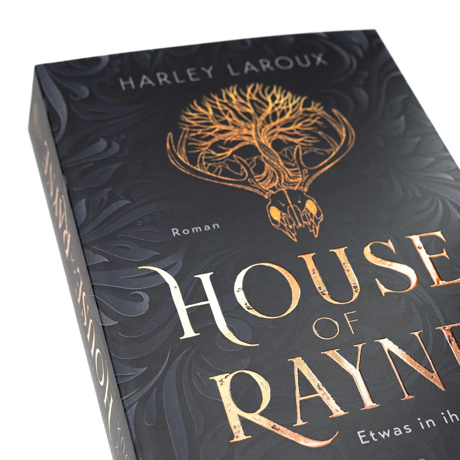 Bild: 9783499018534 | House of Rayne | Etwas in ihr erwacht. | Harley Laroux | Taschenbuch