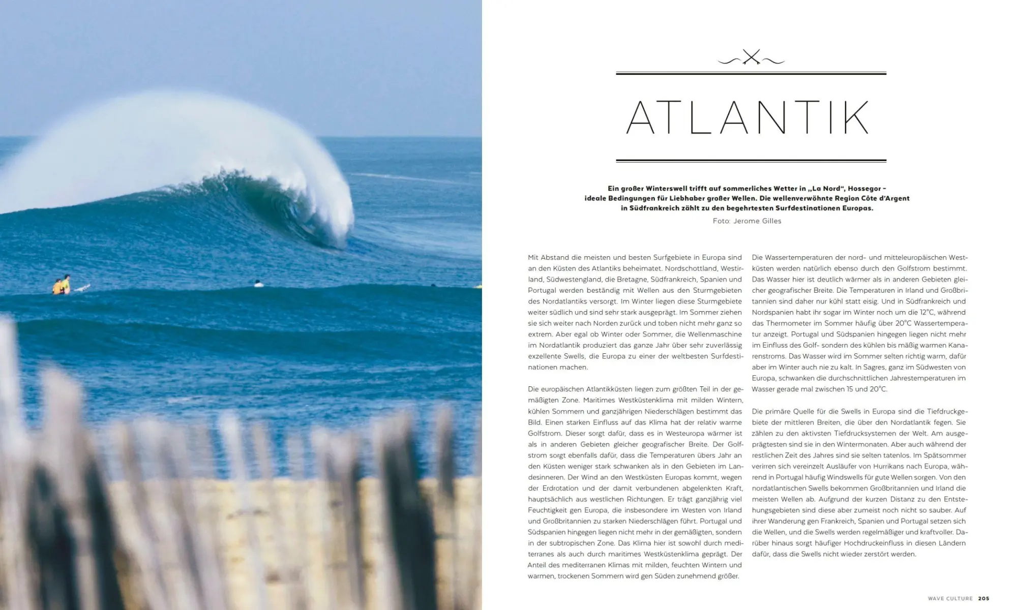 Bild: 9783000488634 | WAVE CULTURE Surfcoach | Stefan Strauss (u. a.) | Taschenbuch | 2015