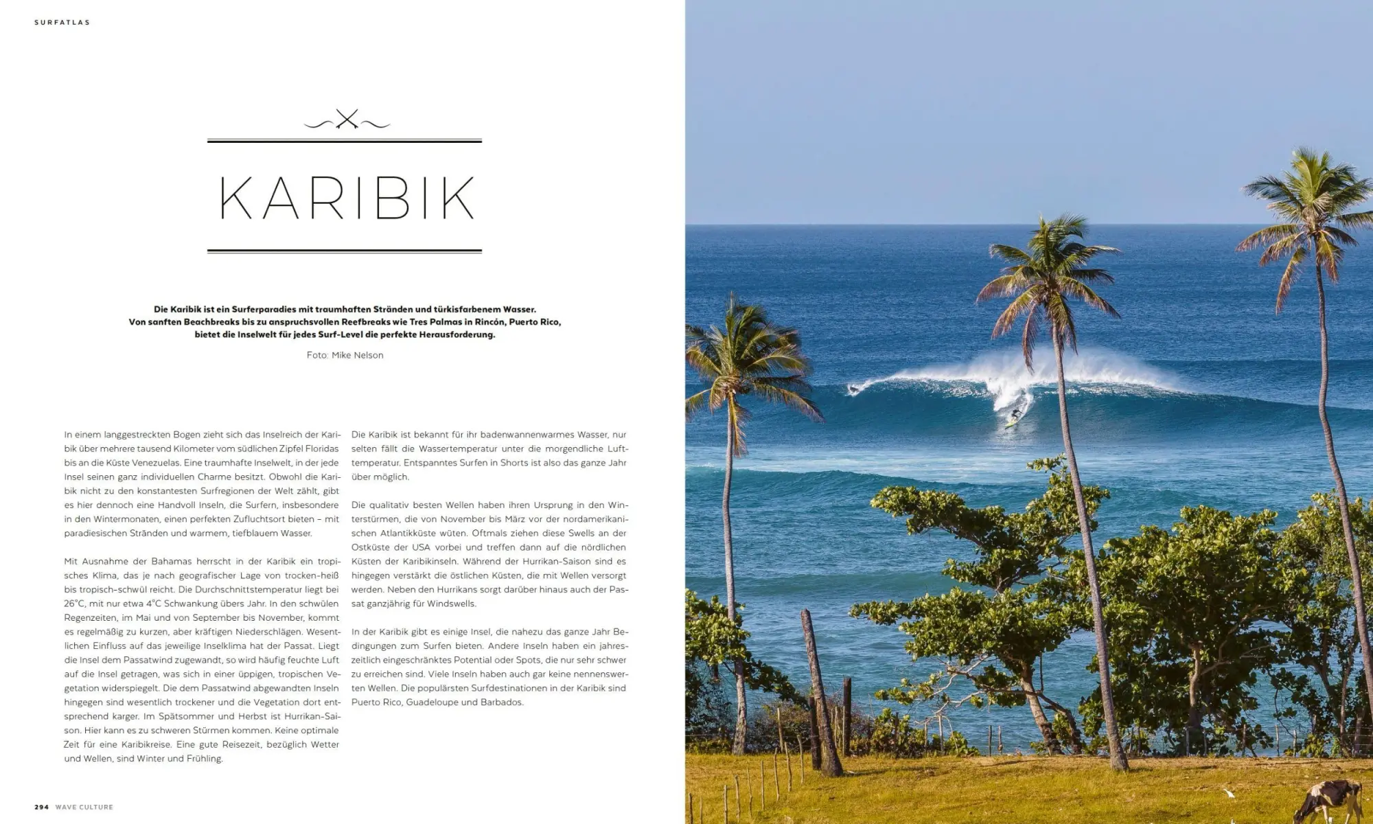 Bild: 9783000488634 | WAVE CULTURE Surfcoach | Stefan Strauss (u. a.) | Taschenbuch | 2015