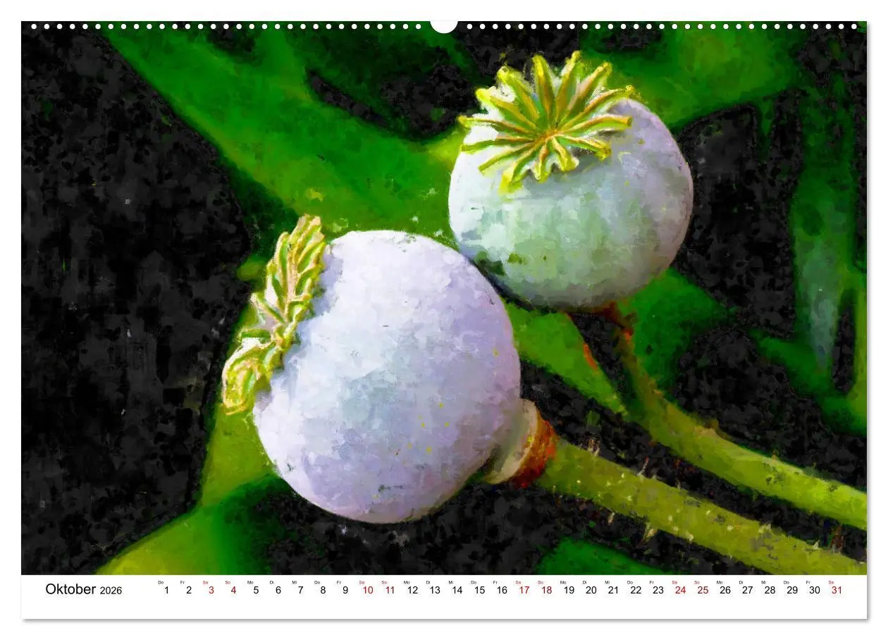 Bild: 9783457598634 | Bunte Mohnblumen - Impressionen der Mohnblüte in Acrylfarbe...