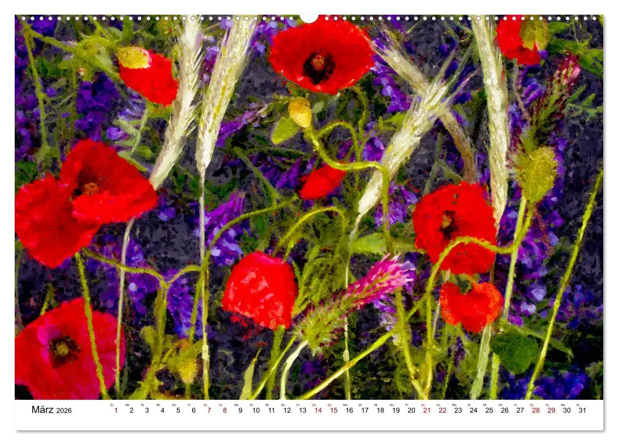 Bild: 9783457598634 | Bunte Mohnblumen - Impressionen der Mohnblüte in Acrylfarbe...