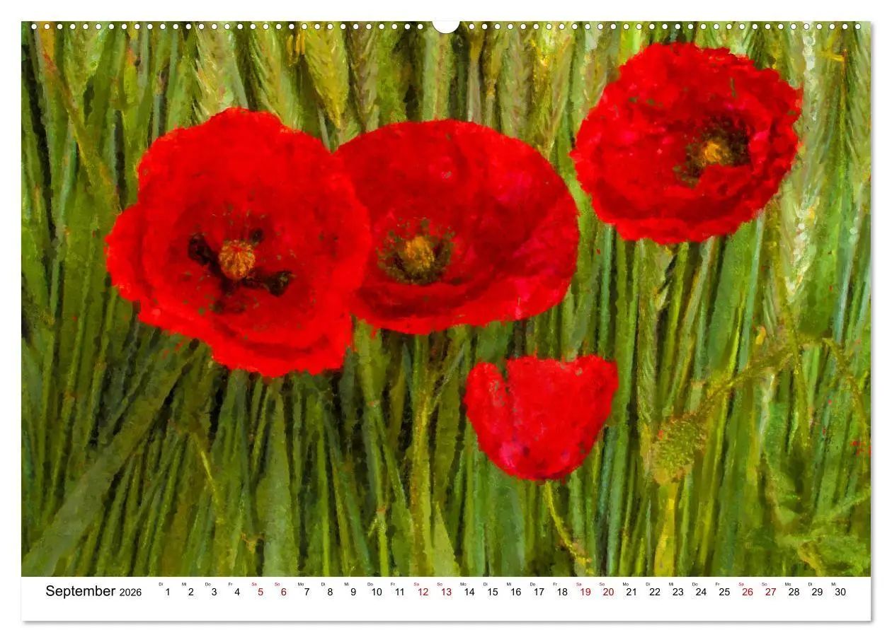 Bild: 9783457598634 | Bunte Mohnblumen - Impressionen der Mohnblüte in Acrylfarbe...