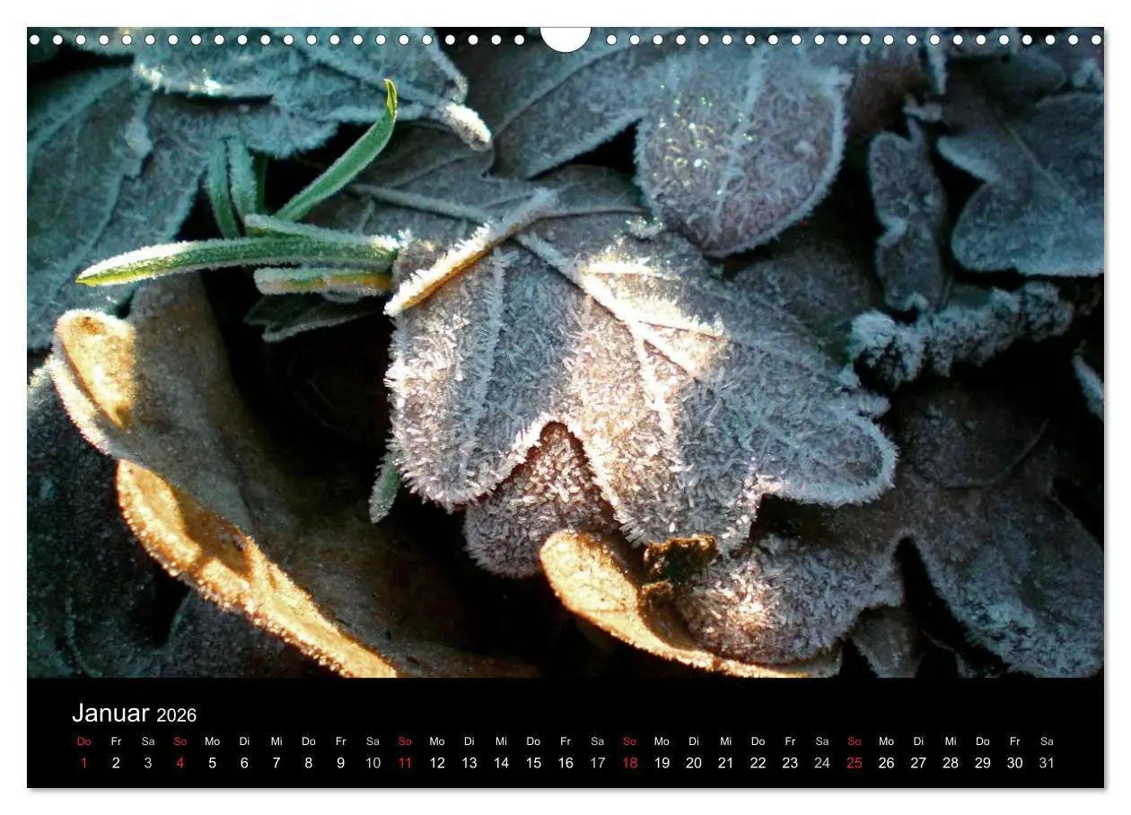 Bild: 9783457978634 | land und leben (Wandkalender 2026 DIN A3 quer), CALVENDO...