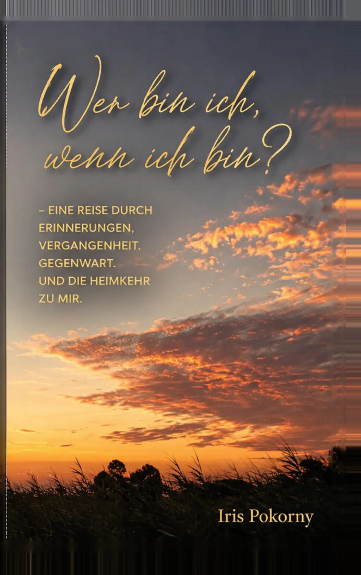 Cover: 9783696708634 | Wer bin ich, wenn ich bin? | Iris Pokorny | Taschenbuch | 168 S.