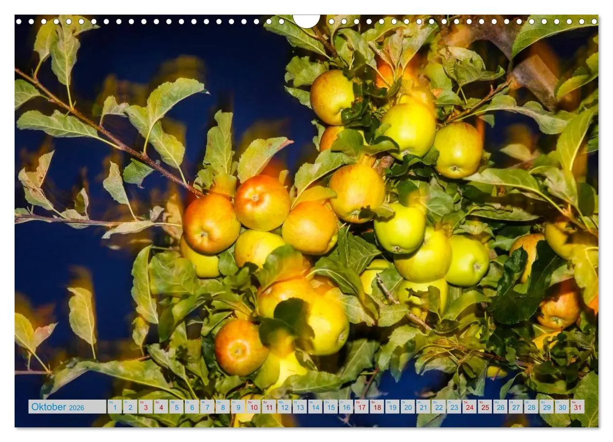 Bild: 9783457898734 | Schönes Südtirol (Wandkalender 2026 DIN A3 quer), CALVENDO...