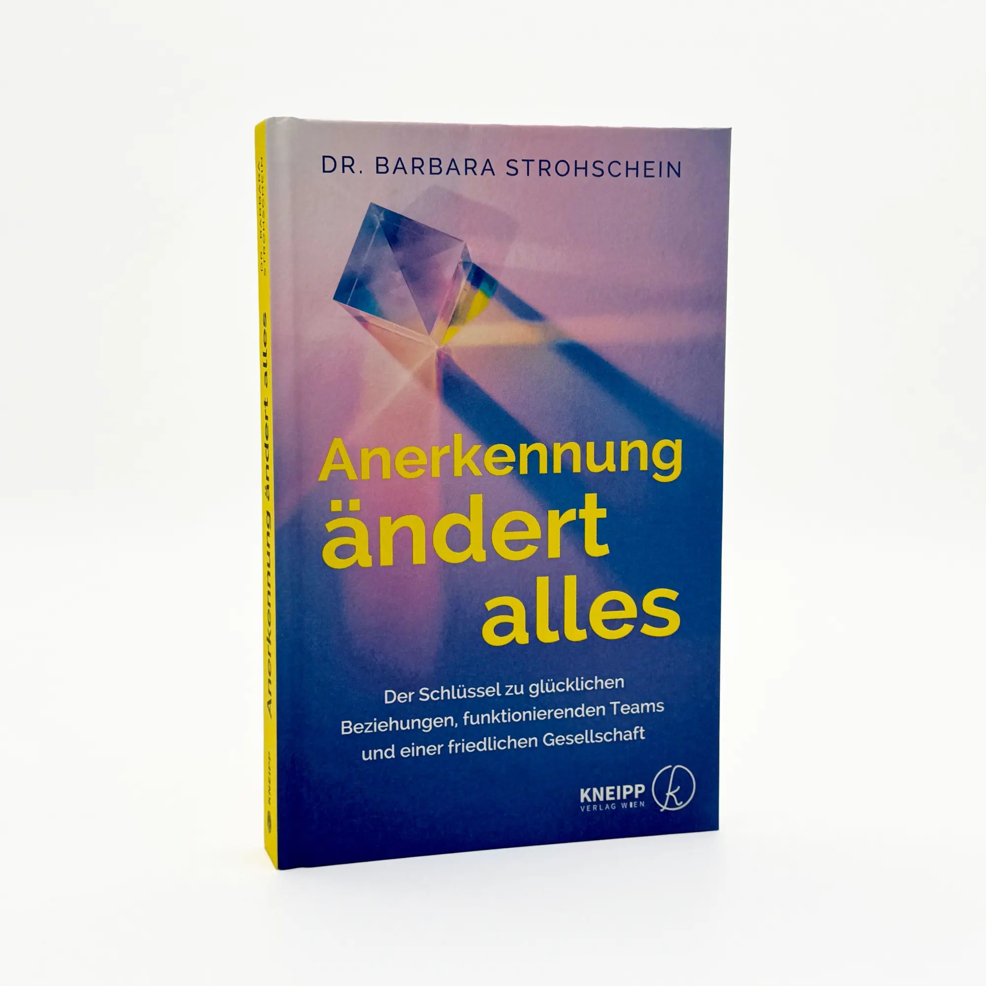Bild: 9783708808734 | Anerkennung ändert alles | Barbara Strohschein | Buch | 232 S. | 2025