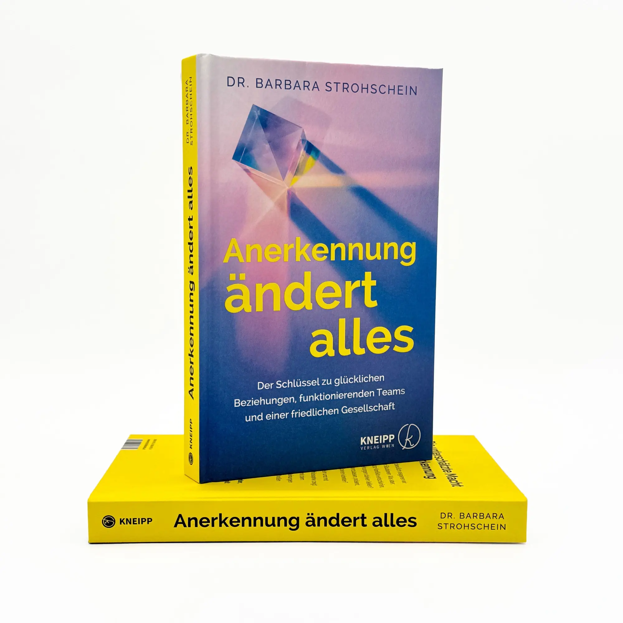 Bild: 9783708808734 | Anerkennung ändert alles | Barbara Strohschein | Buch | 232 S. | 2025