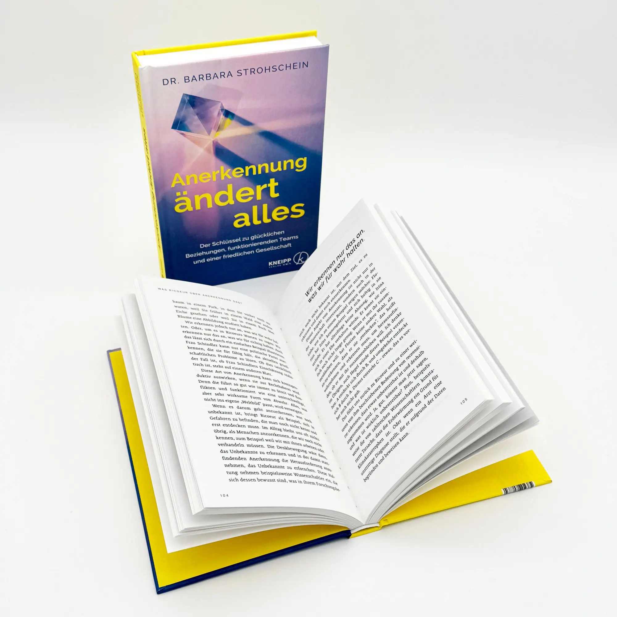 Bild: 9783708808734 | Anerkennung ändert alles | Barbara Strohschein | Buch | 232 S. | 2025