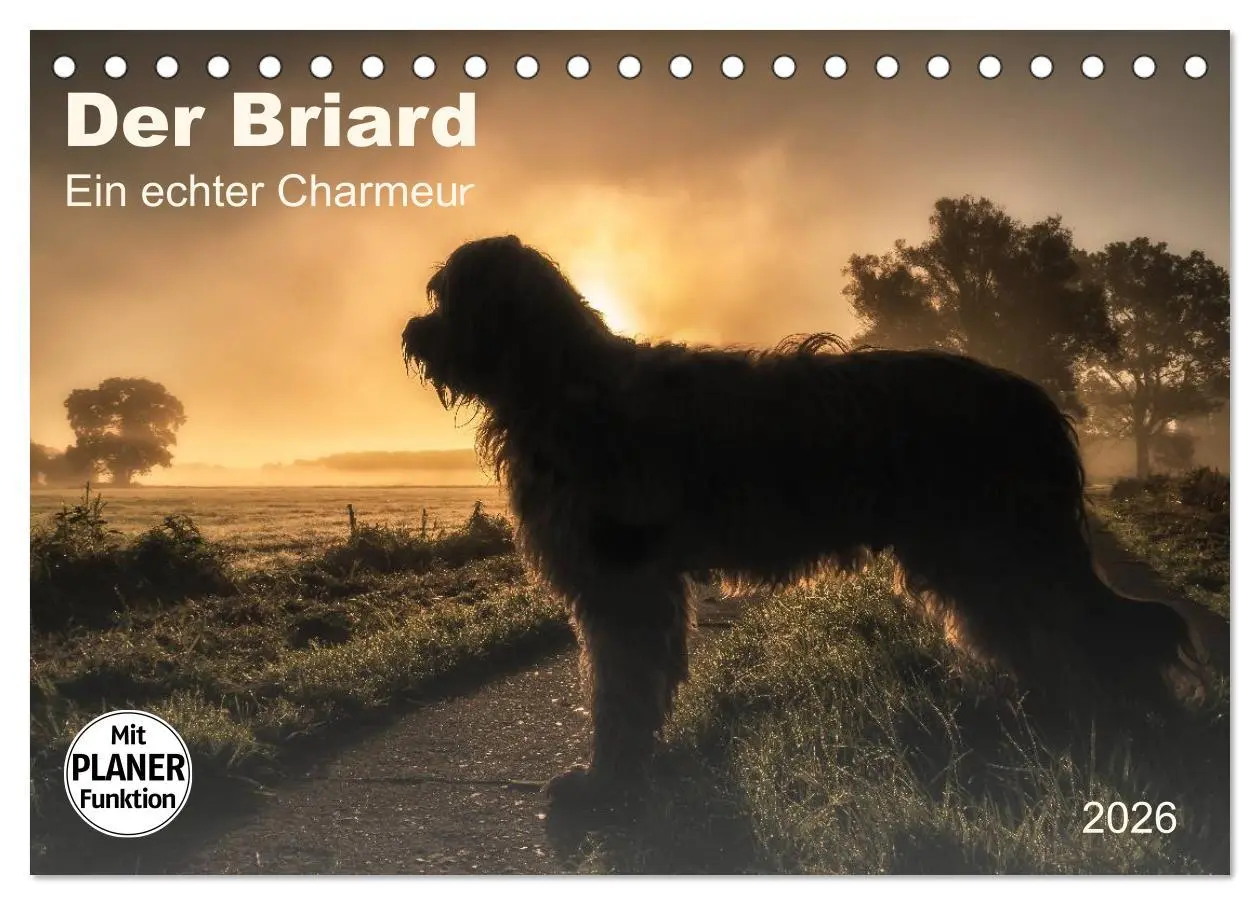 Cover: 9783457948934 | Der Briard 2026 - Ein echter Charmeur (Tischkalender 2026 DIN A5...