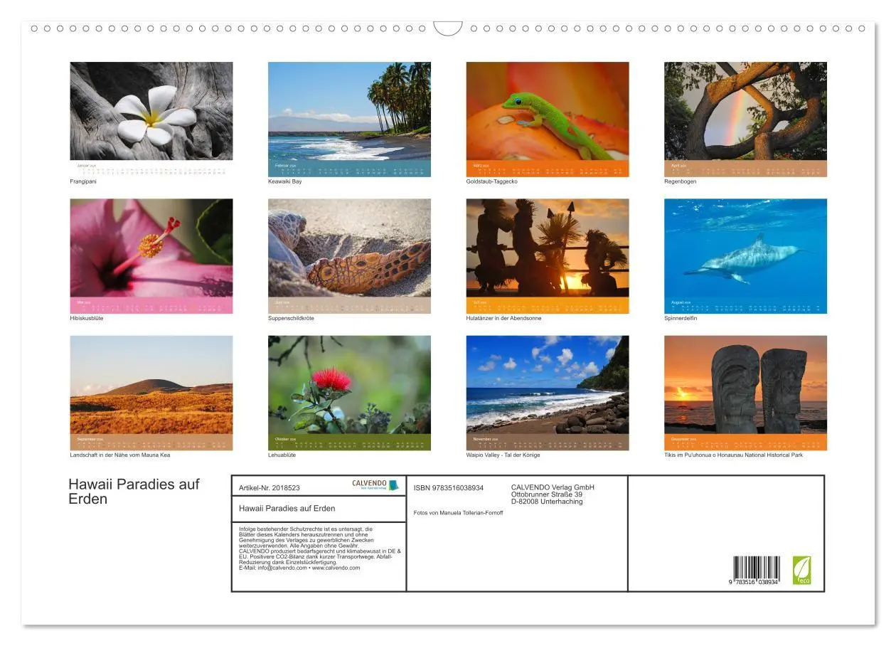 Bild: 9783516038934 | Hawaii Paradies auf Erden (Wandkalender 2026 DIN A2 quer), CALVENDO...