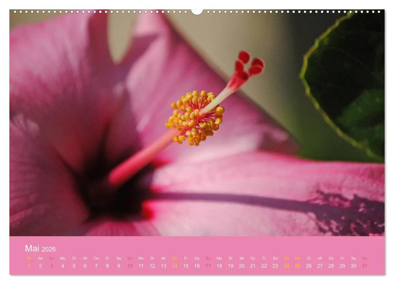 Bild: 9783516038934 | Hawaii Paradies auf Erden (Wandkalender 2026 DIN A2 quer), CALVENDO...
