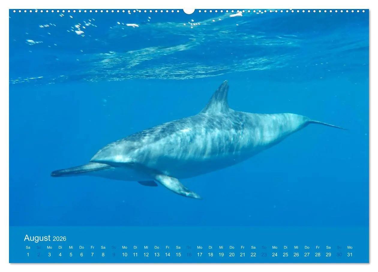 Bild: 9783516038934 | Hawaii Paradies auf Erden (Wandkalender 2026 DIN A2 quer), CALVENDO...