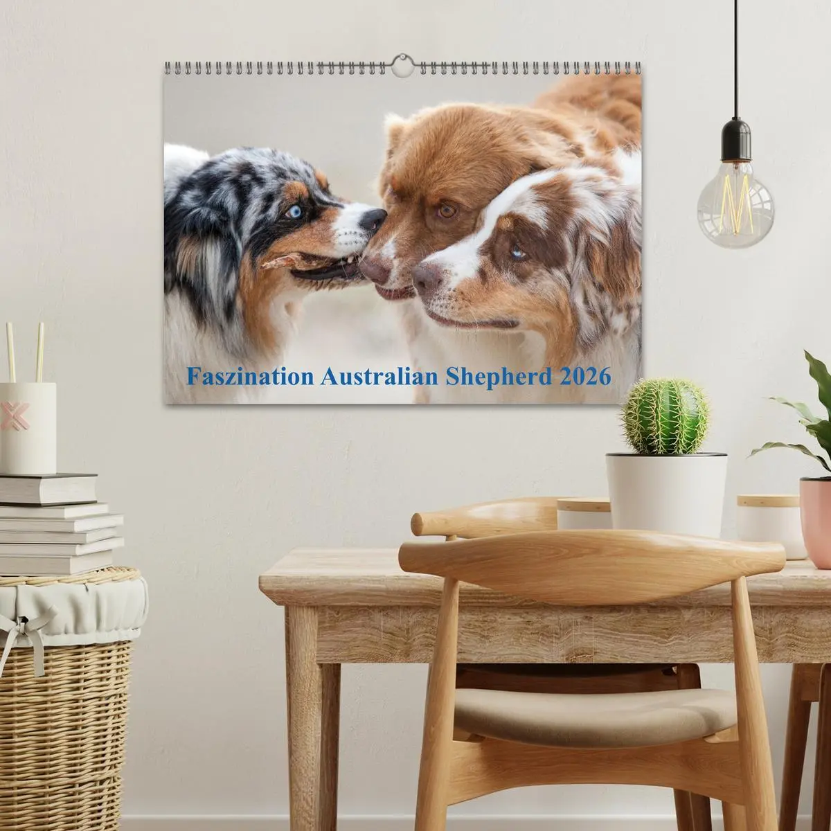 Bild: 9783516239034 | Australian Shepherd 2026 (Wandkalender 2026 DIN A3 quer), CALVENDO...