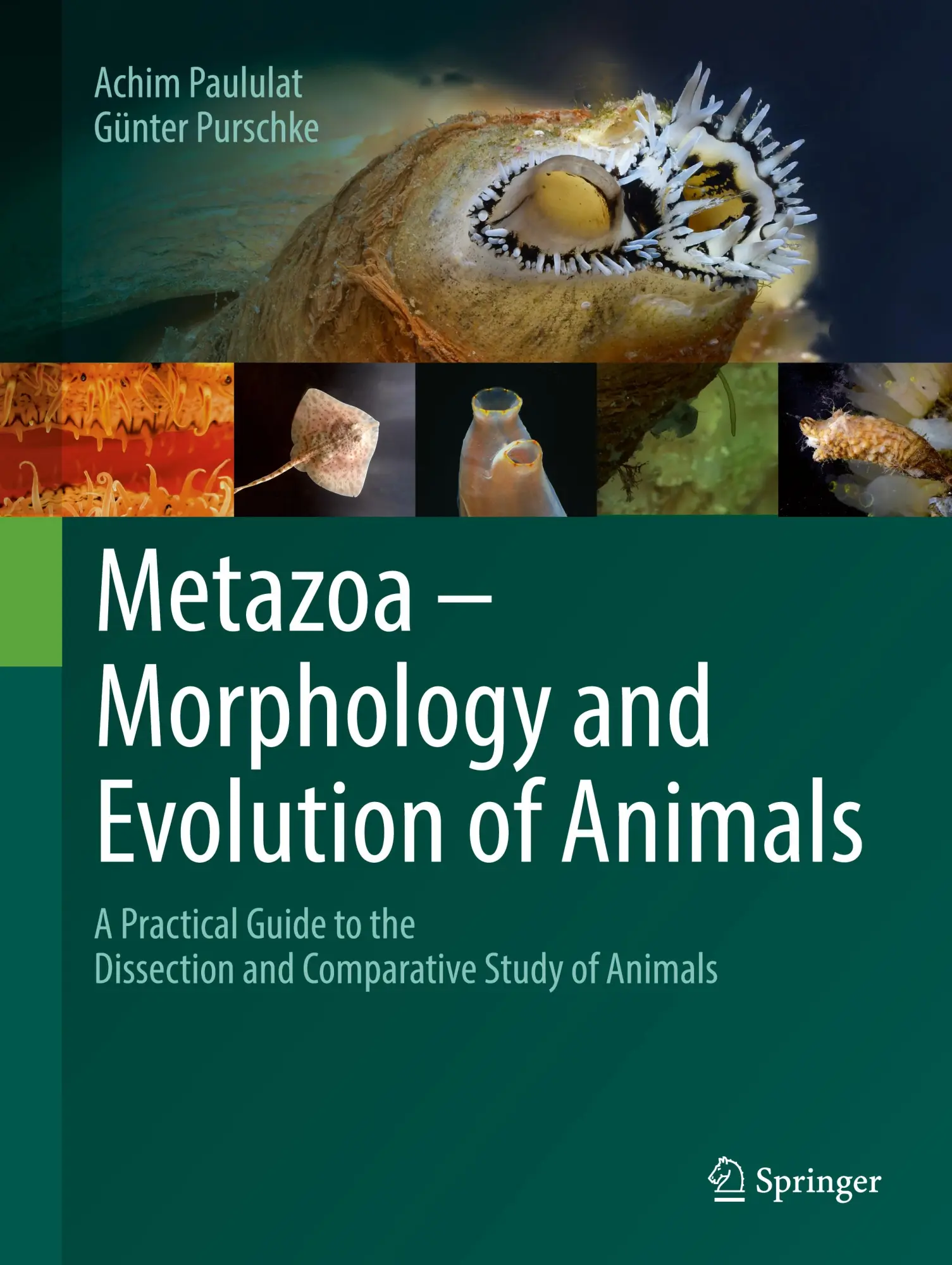 Cover: 9783662699034 | Metazoa - Morphology and Evolution of Animals | Achim Paululat (u. a.)