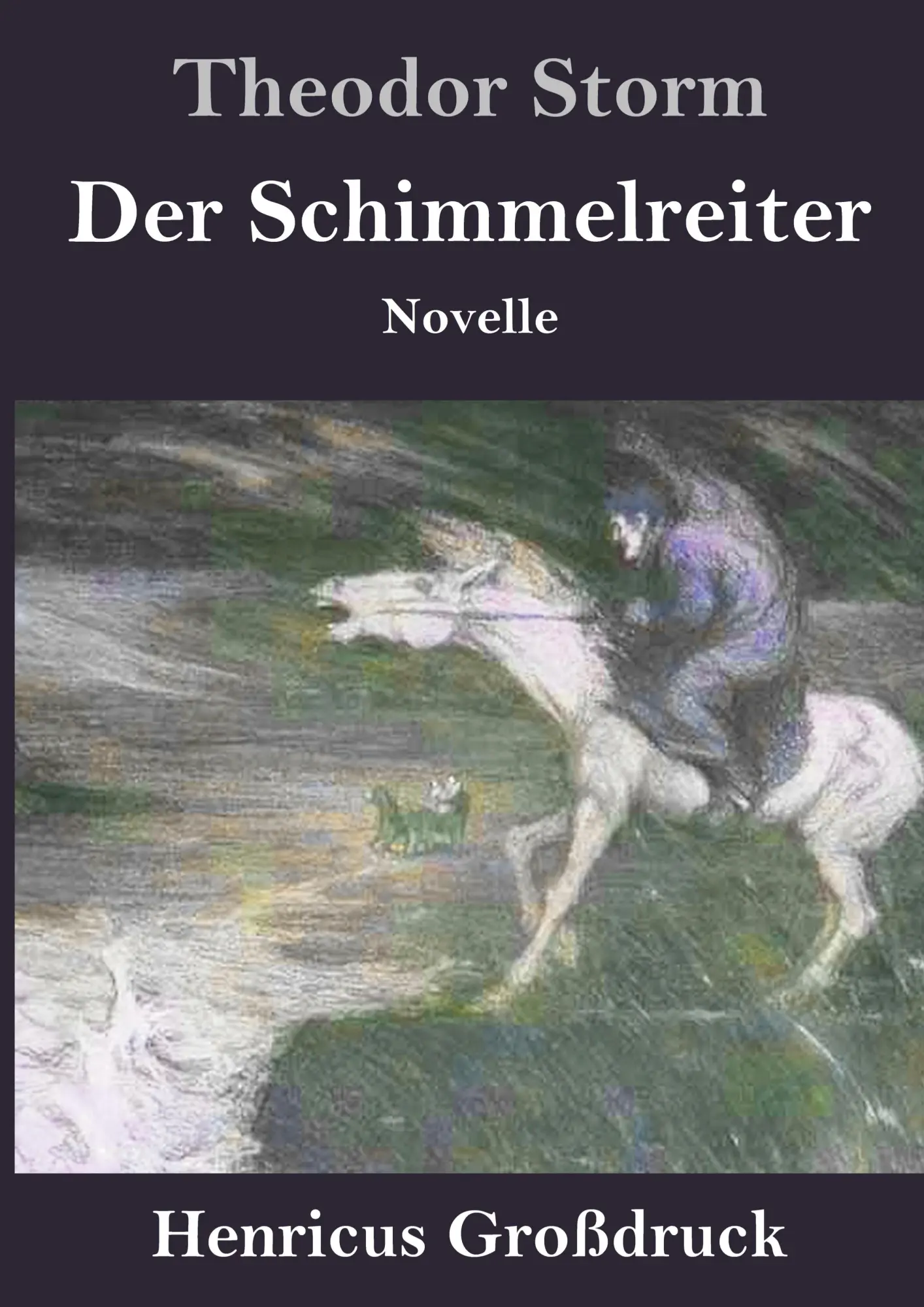 Cover: 9783847829034 | Der Schimmelreiter (Großdruck) | Novelle | Theodor Storm | Buch | 2019