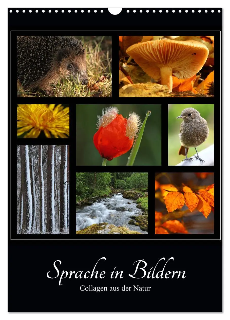 Cover: 9783516399134 | Sprache in Bildern - Collagen aus der Natur (Wandkalender 2026 DIN...