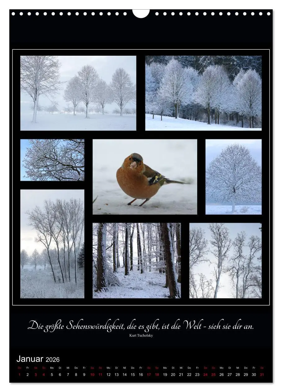 Bild: 9783516399134 | Sprache in Bildern - Collagen aus der Natur (Wandkalender 2026 DIN...