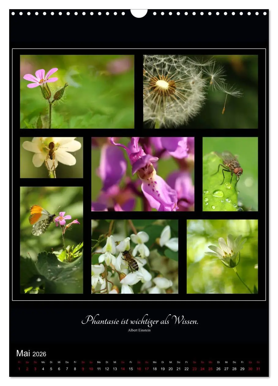 Bild: 9783516399134 | Sprache in Bildern - Collagen aus der Natur (Wandkalender 2026 DIN...